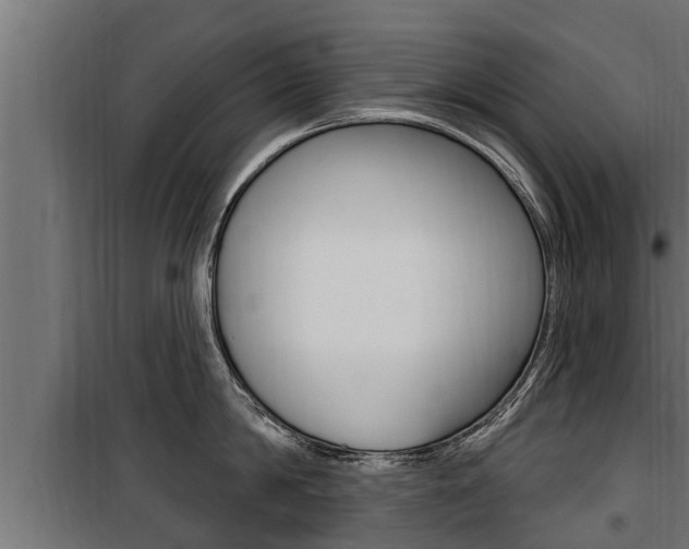 X0000100780814200806191015