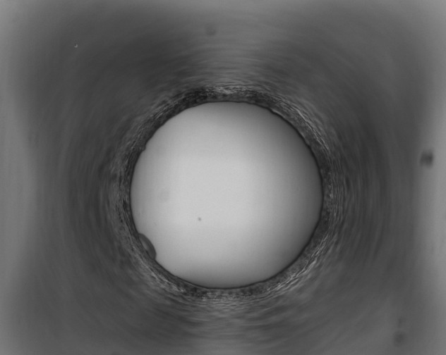 X0000100780817200806191014