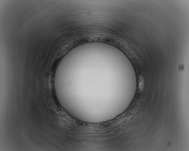 X0000100780819200806191014