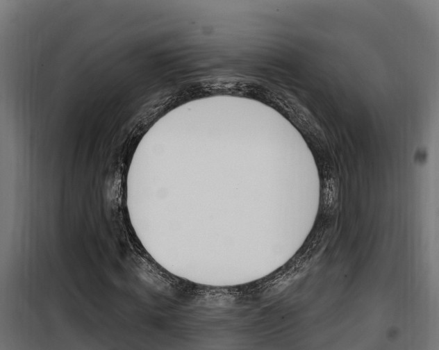 X0000100780820200806191014