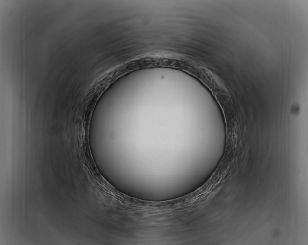 X0000100780821200806191014