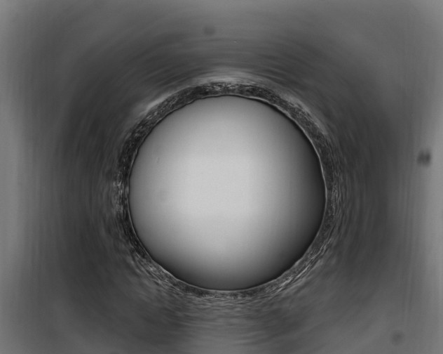 X0000100780822200806191014