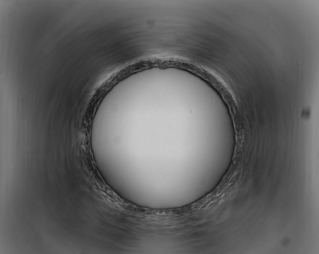 X0000100780823200806191014