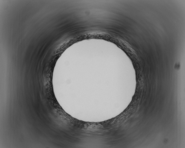 X0000100780824200806191014