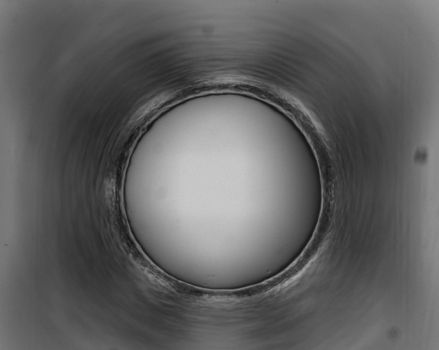 X0000100780825200806191014