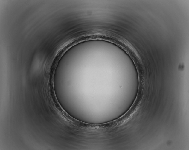 X0000100780826200806191014