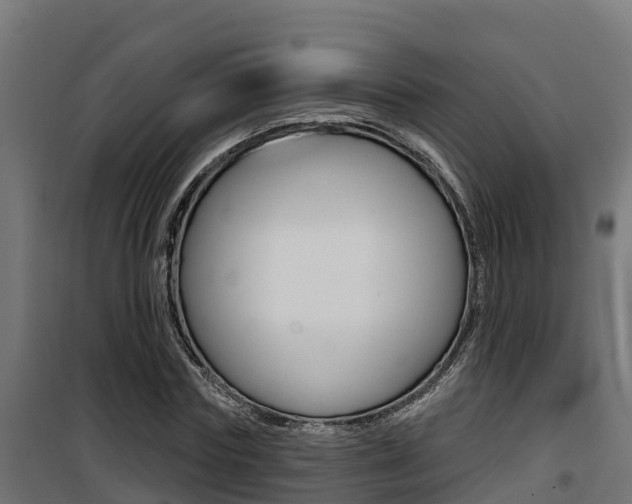 X0000100780827200806191014