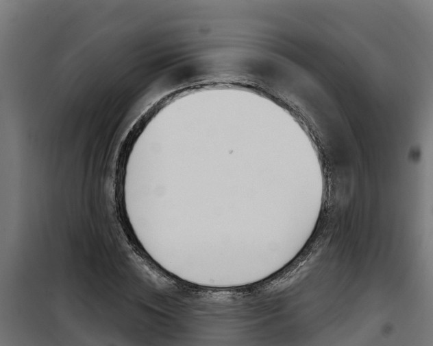 X0000100780828200806191014