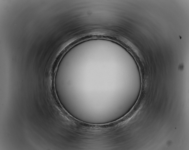 X0000100780829200806191014