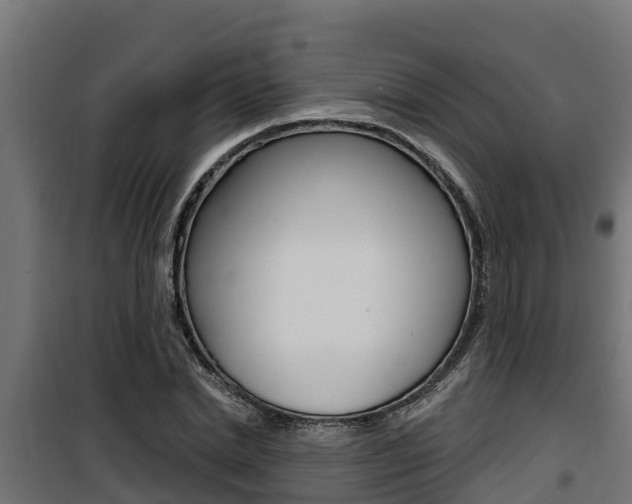 X0000100780830200806191014