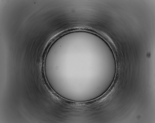 X0000100780831200806191014