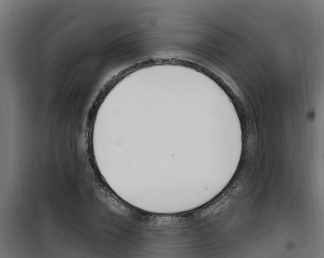 X0000100780832200806191014