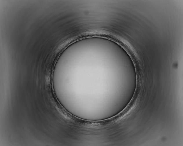 X0000100780833200806191014