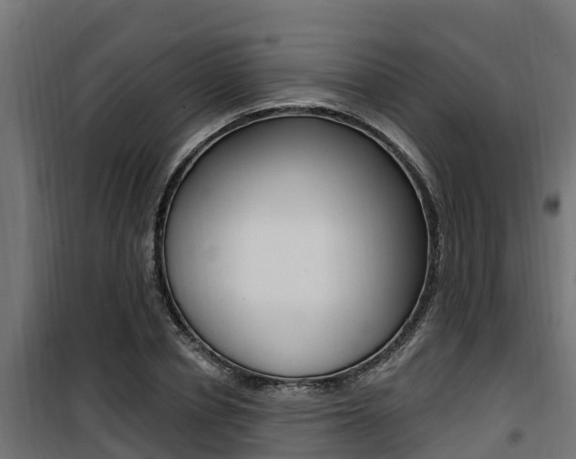 X0000100780834200806191014