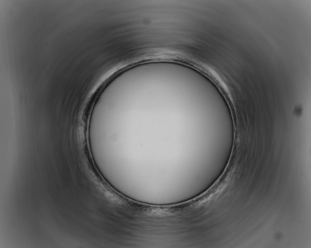 X0000100780835200806191015