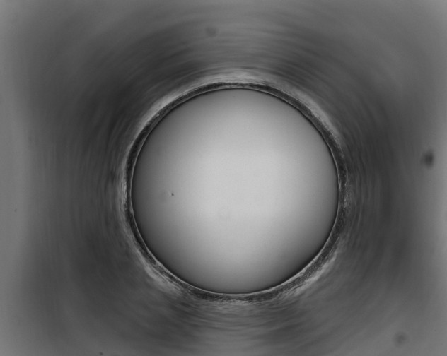 X0000100780837200806191015