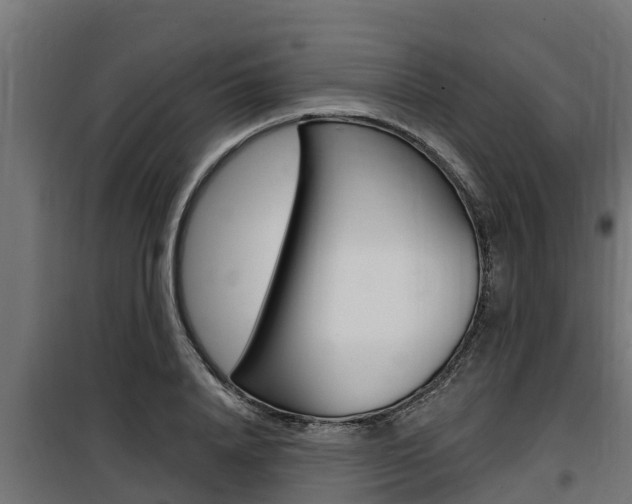 X0000100780840200806191015