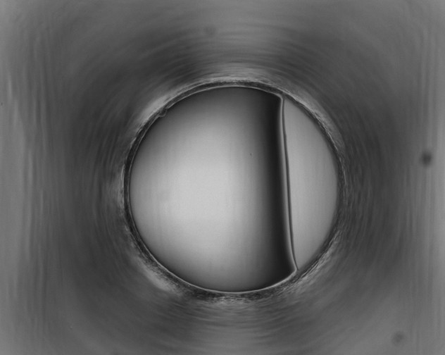 X0000100780842200806191015