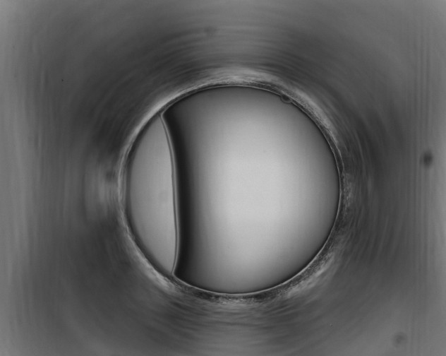 X0000100780843200806191015