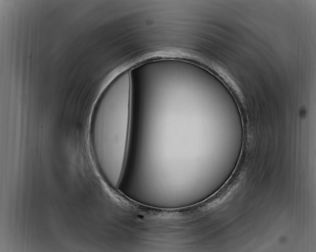 X0000100780845200806191015