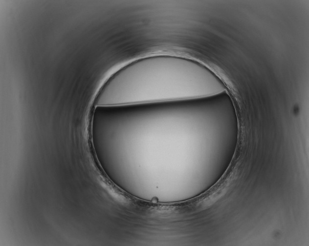 X0000100780846200806191015