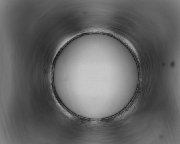 X0000100780847200806191015