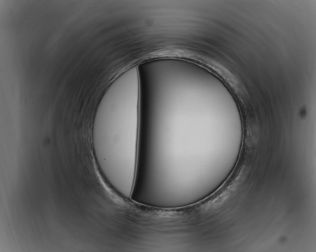 X0000100780849200806191015