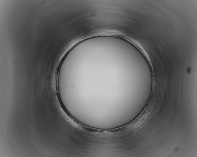 X0000100780851200806191015