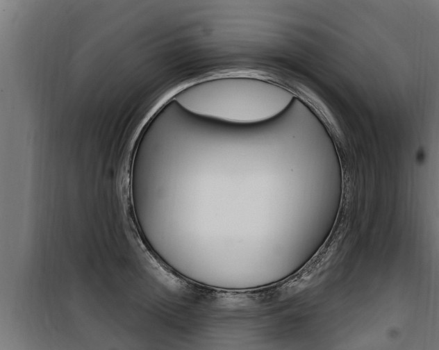 X0000100780852200806191015