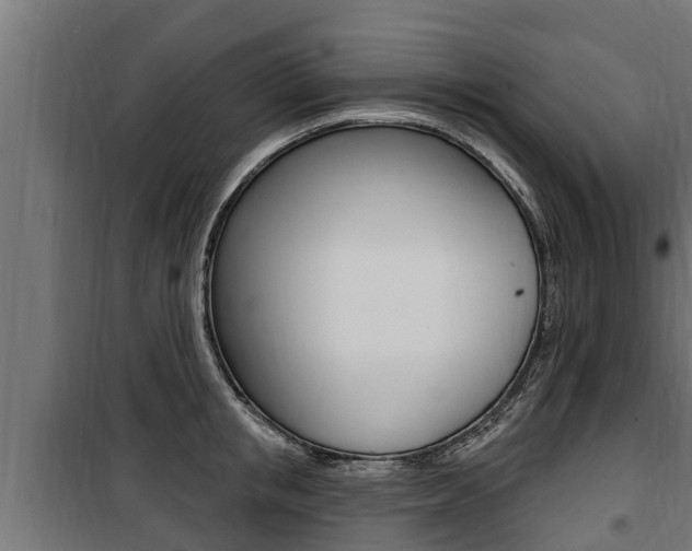 X0000100780853200806191015