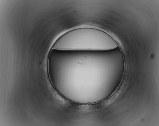 X0000100780854200806191015