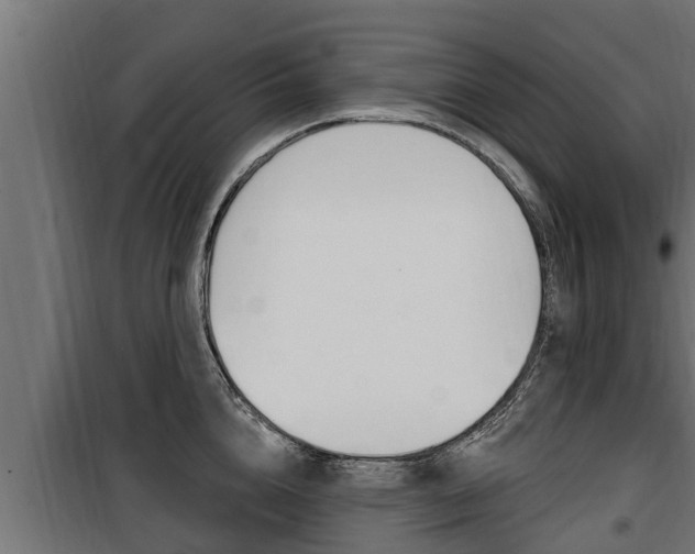 X0000100780856200806191015