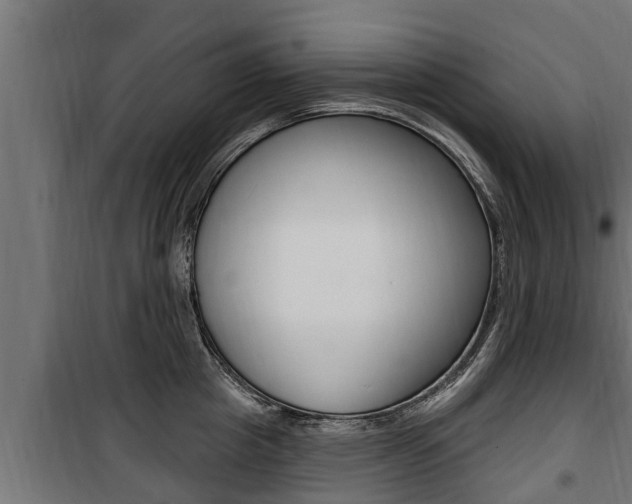 X0000100780857200806191015