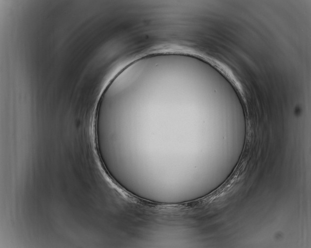 X0000100780863200806191015