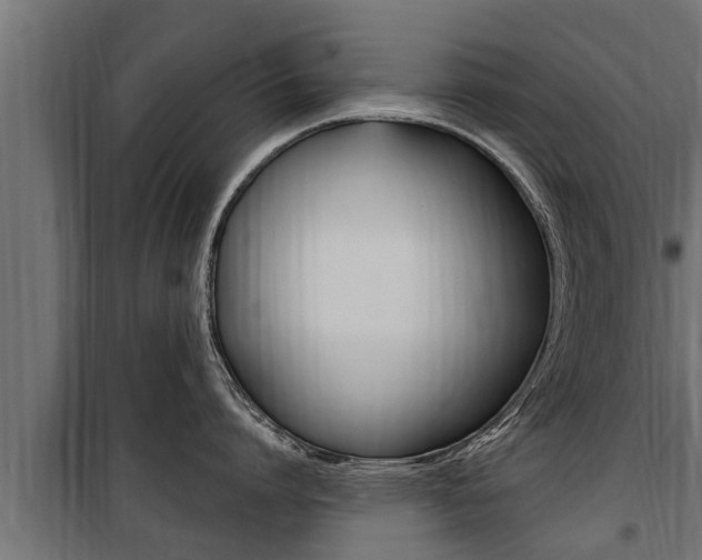 X0000100780864200806191015