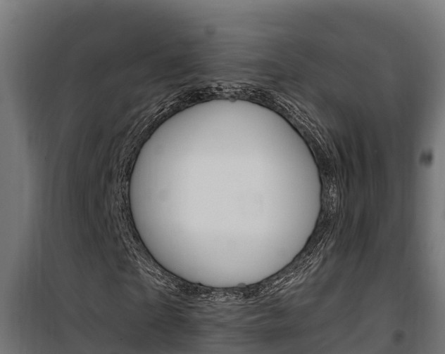 X0000100780865200806191014