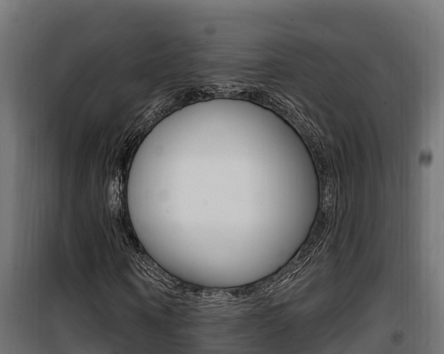 X0000100780866200806191014