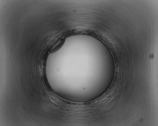 X0000100780868200806191014