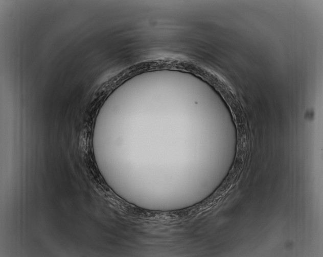 X0000100780869200806191014