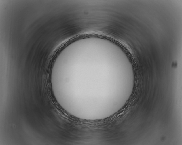 X0000100780872200806191014