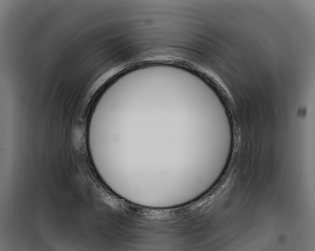 X0000100780874200806191014