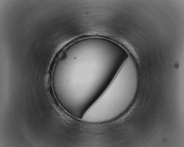 X0000100780876200806191014