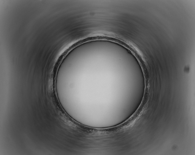 X0000100780877200806191014