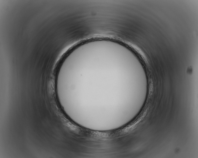 X0000100780878200806191014