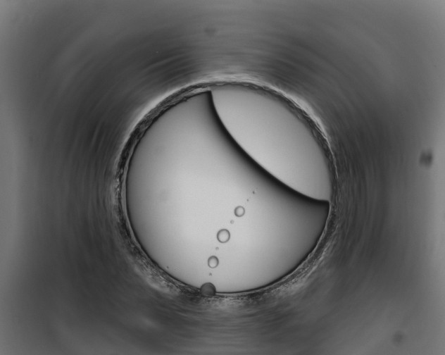 X0000100780879200806191014