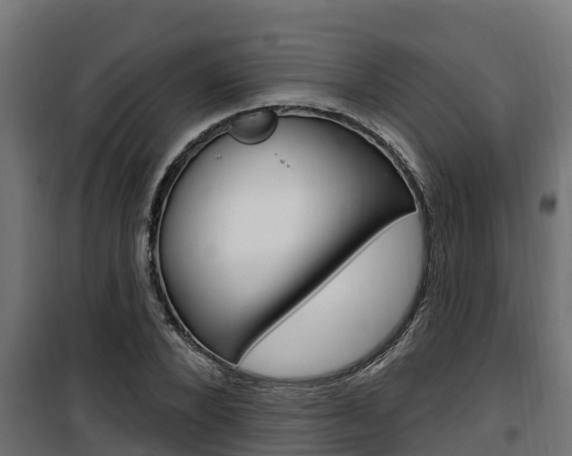 X0000100780880200806191014