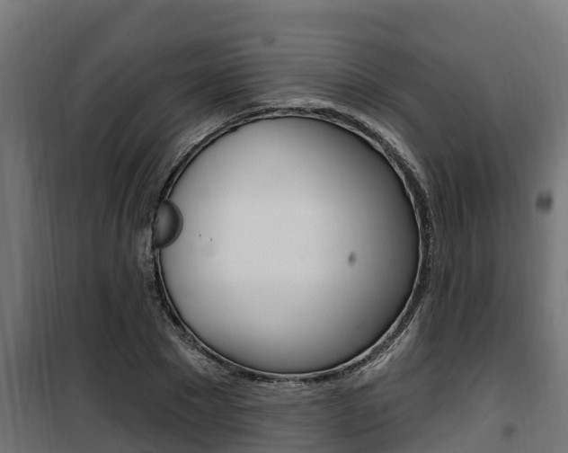 X0000100780881200806191014