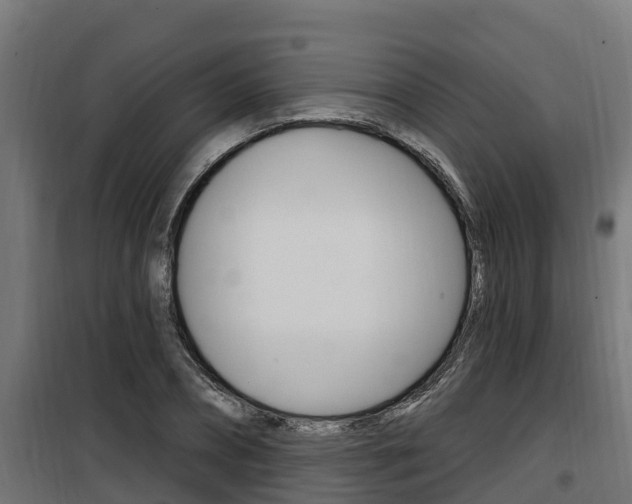 X0000100780882200806191014