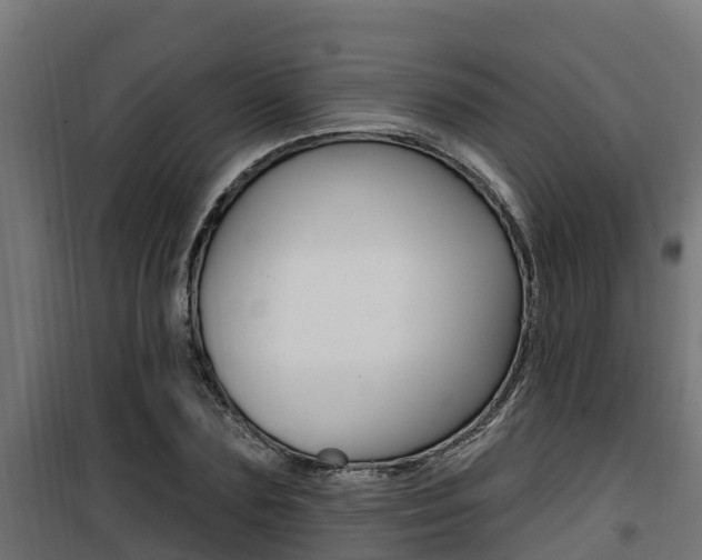 X0000100780883200806191014