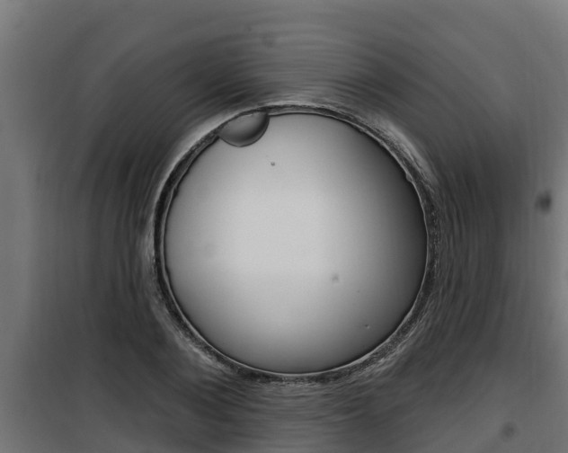 X0000100780884200806191014